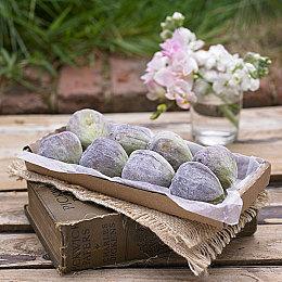 经营模拟RPG《Potionomics》10月17日发行